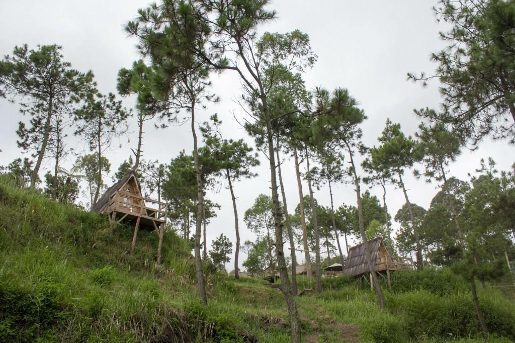Hotel Papandayan Camping Ground Cileuleuy Exteriér fotografie