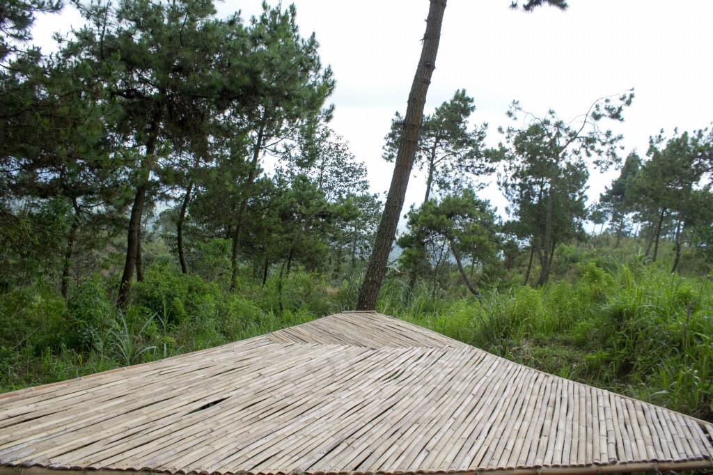 Hotel Papandayan Camping Ground Cileuleuy Exteriér fotografie